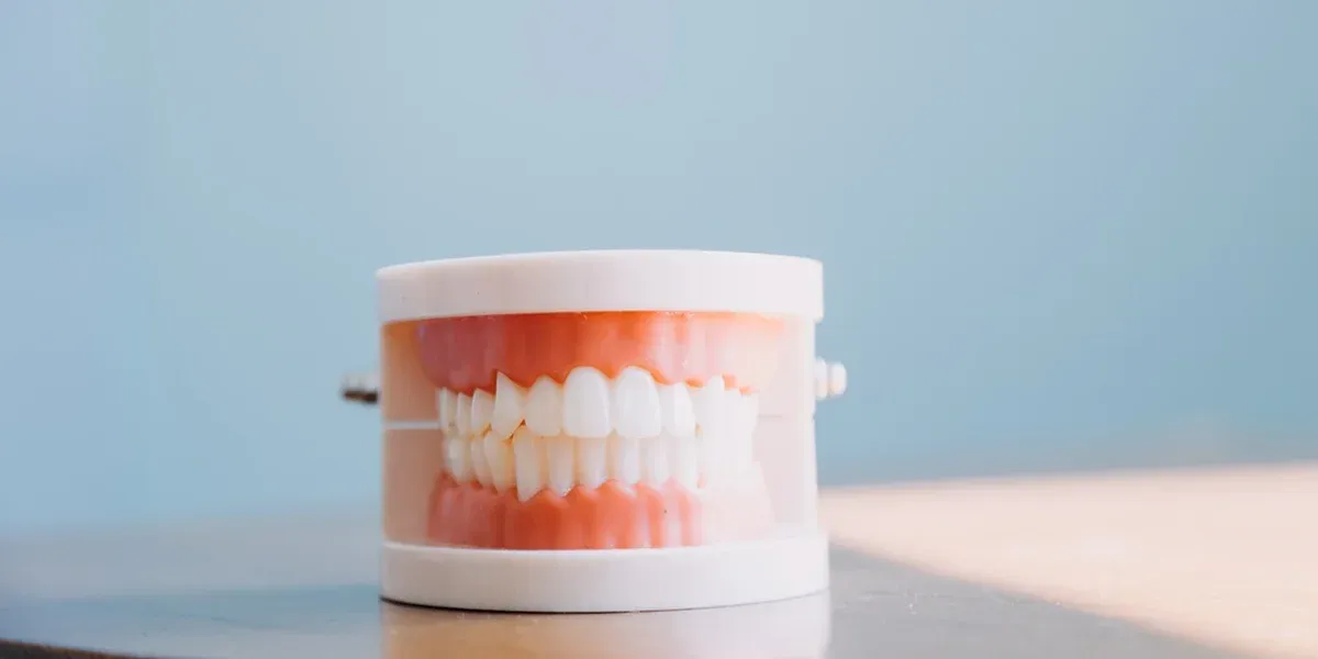 Protecting Your Gums: Tips for Prevention and Treatment in San Francisco